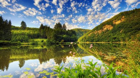 Красота природы в первые часы утра