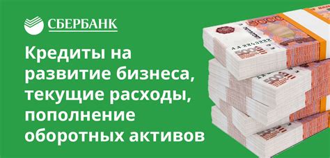 Кредиты Сбербанка: выгодная финансовая возможность