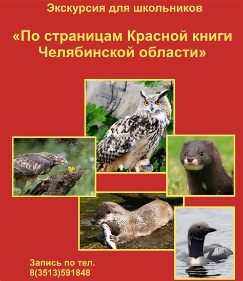Критерии включения кубышки в российскую красную книгу
