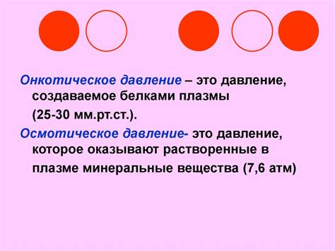 Кровь и плазма: разделение и уникальные функции