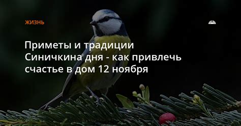 Кулинарные традиции Синичкина дня