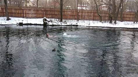 Купание в открытой воде