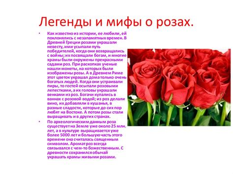 Легенды и мифы о синих розах