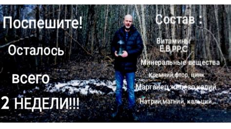 Ленинградская область и сбор кленового сока