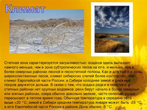 Лесостепной полосы