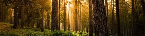 Летнее наслаждение и удовольствие от природы