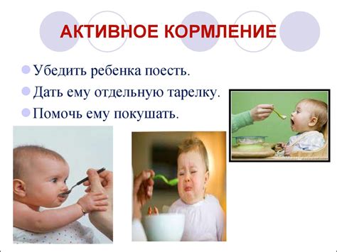 Лето: активное кормление