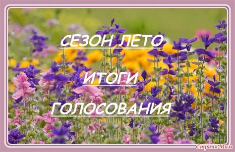 Лето – сезон прикормки и удовольствия