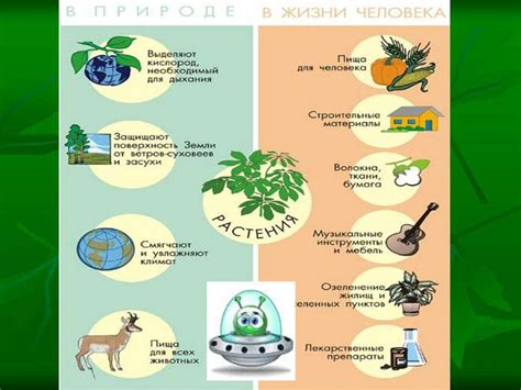 Летучий прах и его значение для растений и животных