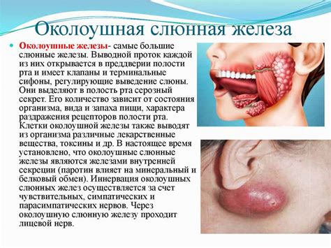 Лечение воспаления слюнных желез