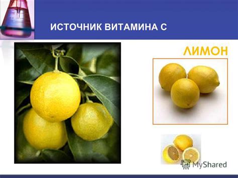 Лимон как источник витамина С