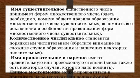 Лингвистические особенности множественного числа
