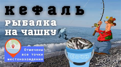 Ловля кефали: эффективные стратегии