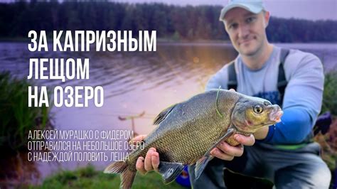 Ловля леща летом