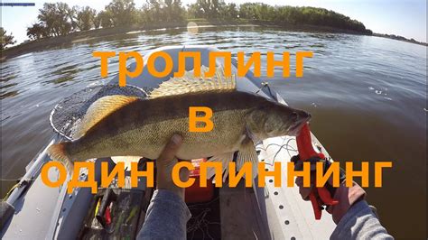 Ловля судака: выбор снасти