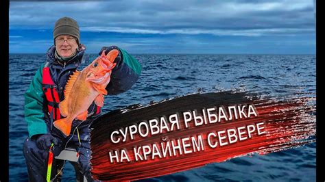 Ловля трески в Баренцевом море