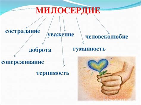 Луковый насморк и его проявления: доброта и сострадание при болезни