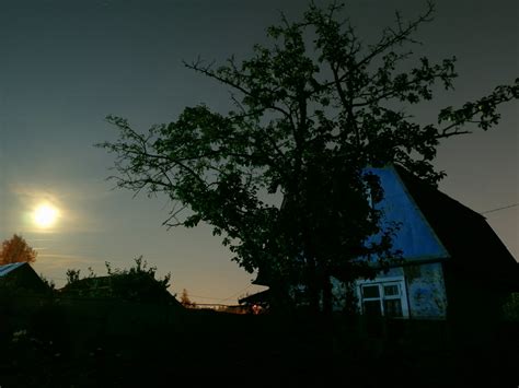 Лунное освещение в лесу