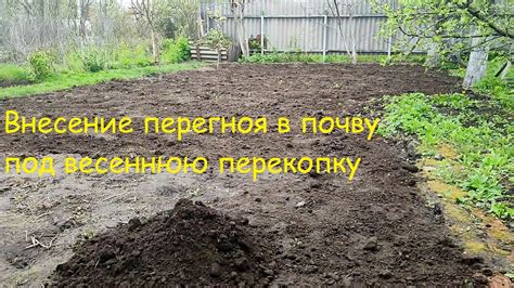 Лучшее время для внесения перегноя в почву