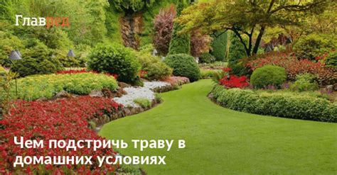 Лучшие советы для садоводов