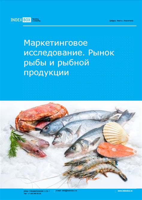 Лучшие советы по хранению и использованию рыбной продукции