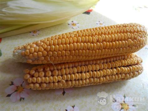 Лучшие способы заморозки кукурузы на зиму