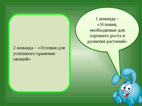 Лучшие условия для успешного роста