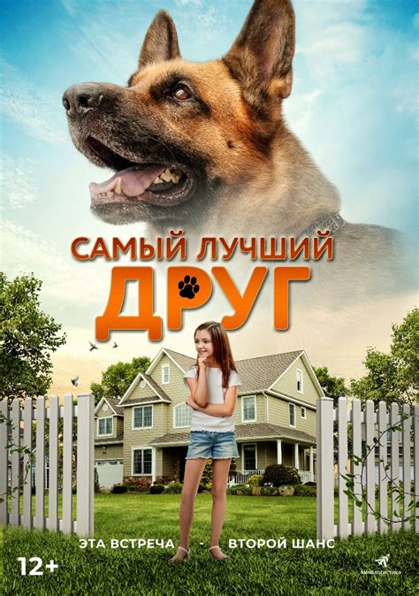 Лучший друг - пес, второй брат