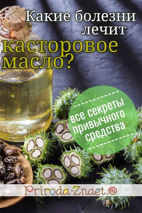 Лучший способ запивания касторового масла