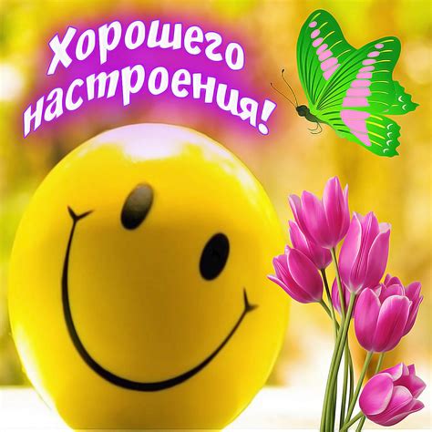 Магия гифок: как настроить хорошее настроение