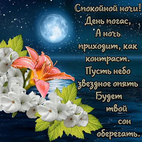 Магия ночи в музыке и стихах