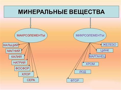 Макроэлементы: необходимость и функции