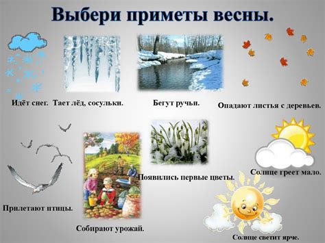 Март: первые признаки весеннего прилета