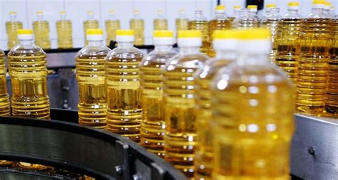 Масляные заводы и первые производители подсолнечного масла