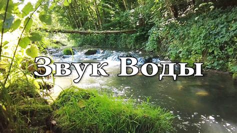 Медитация под звуки природы