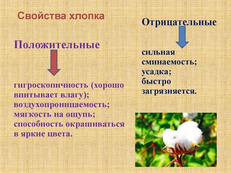 Медицинские преимущества натуральных волокон
