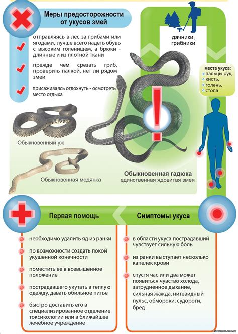 Меры предосторожности для предотвращения укусов блохами