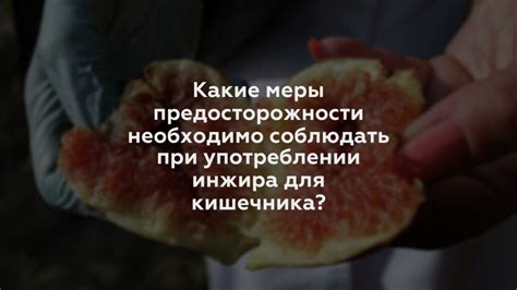 Меры предосторожности при употреблении судака