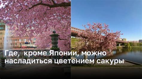 Места для наслаждения прекрасным зрением