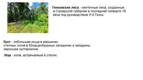 Местные географические особенности