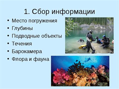 Место погружения