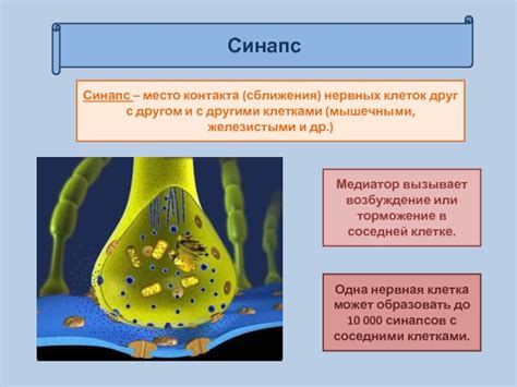 Место сближения