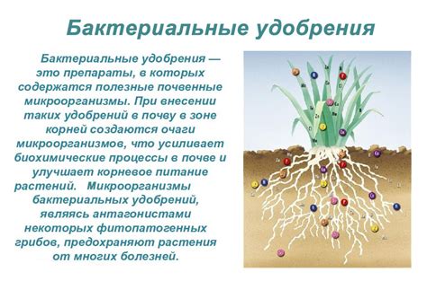 Метеофакторы и их влияние на клёв:
