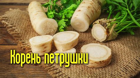 Методы заморозки корня петрушки