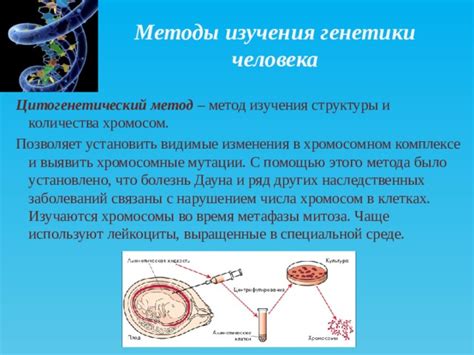 Методы исследования хромосом в клетках