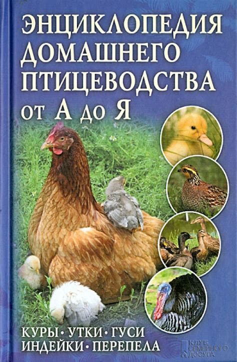 Методы кормления птенцов