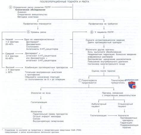 Методы лечения постоянной тошноты и рвоты