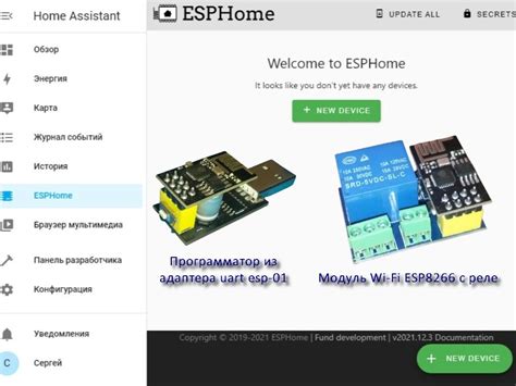 Методы установки системы ESP