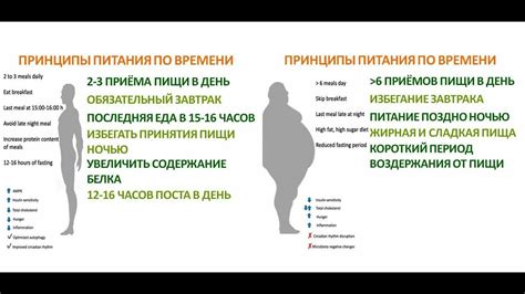 Механизмы, которые включаются при голодании