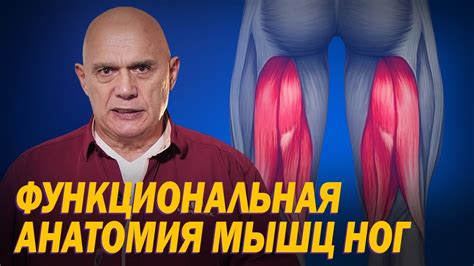 Механизмы активации мышц ног при мысленной деятельности